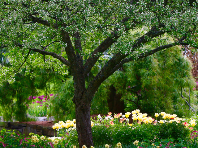 Mother's Day Garden Tour at Sycamore Hill Gardens