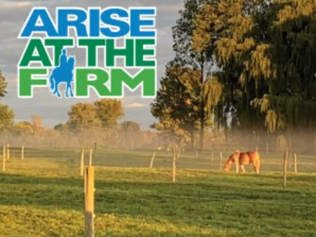 Fall Farm Showcase at ARISE at the Farm