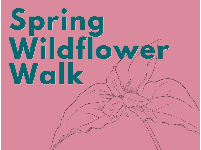Spring Wildflower Walk at Three Rivers Wildlife Management Area