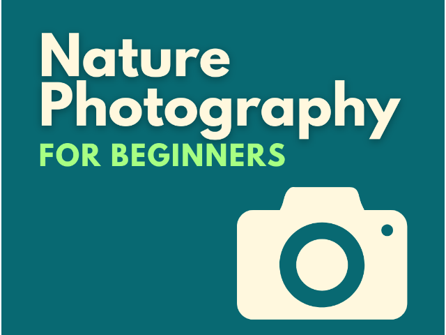 Nature Photography for Beginners (SOLD OUT)