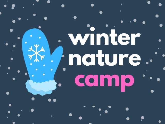 Winter Nature Camp (SOLD OUT)