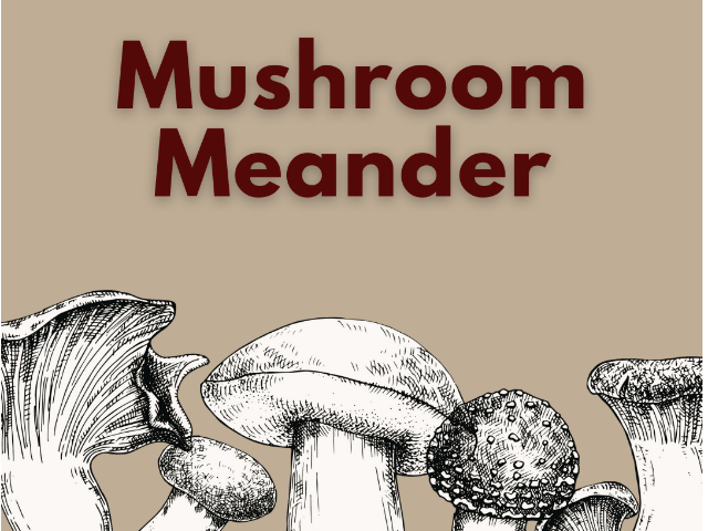 Mushroom Meander