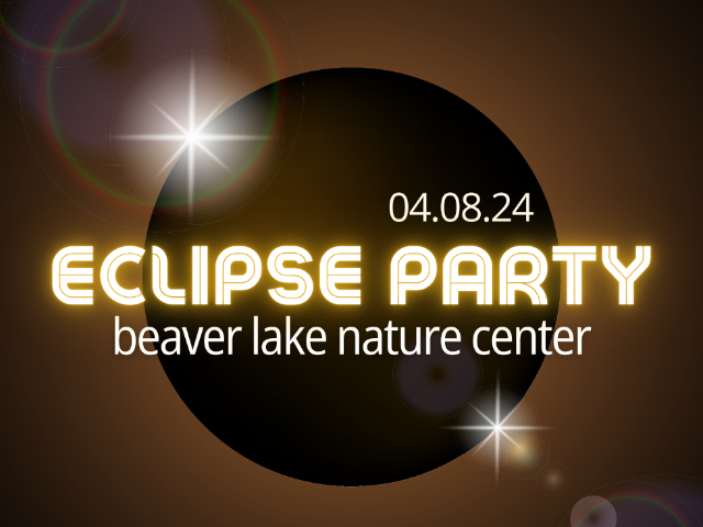 Eclipse Party