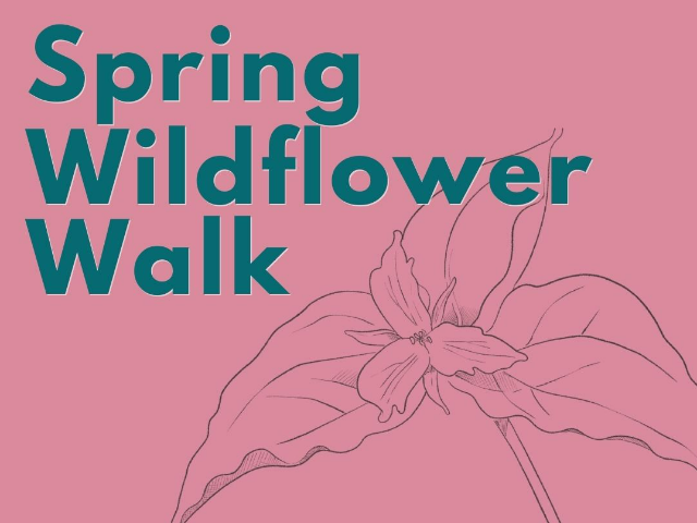 Spring Wildflower Walk at Camillus Forest Unique Area