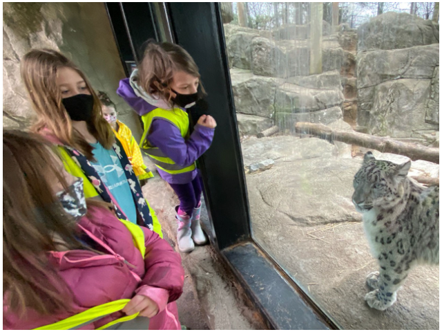 Ages 6-12: Spring Break One Day Zoo Camps