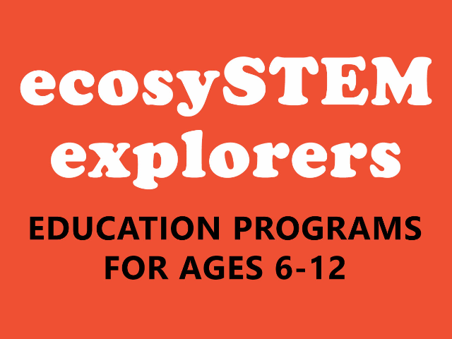 Ages 6-12: EcosySTEM Explorers