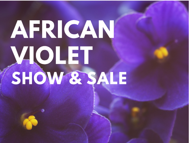 African Violet Show & Sale