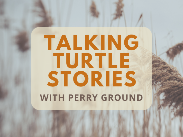 Talking Turtle Stories with Perry Ground