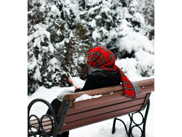 NOPL Adult Winter Reading Program