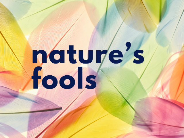 Nature's Fools