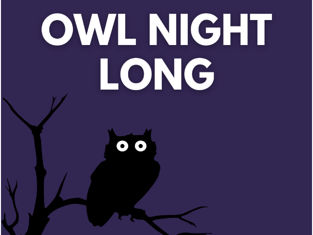 Owl Night Long (SOLD OUT)