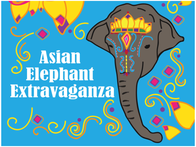 Asian Elephant Extravaganza