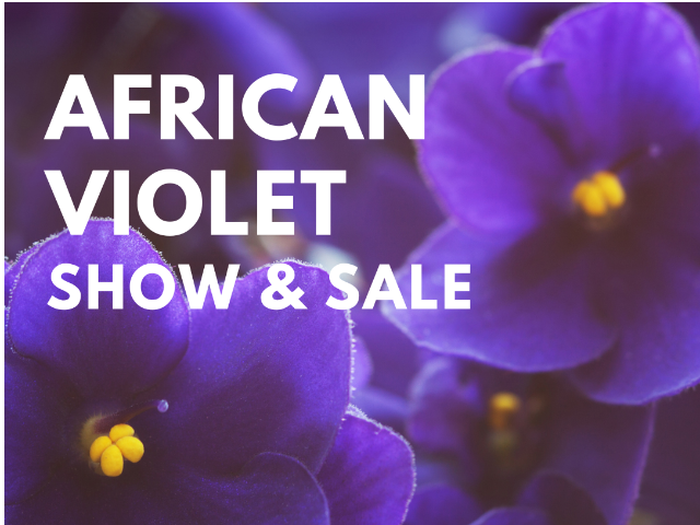 African Violet Show & Sale